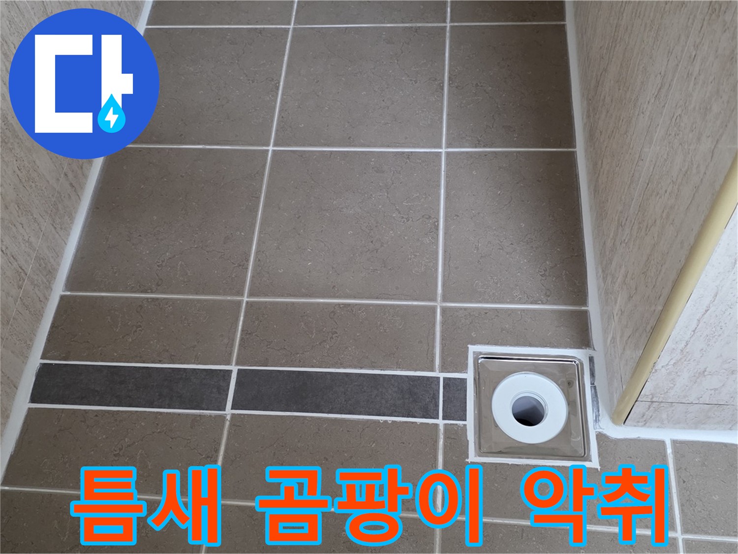 배수구 주변 타일 틈새 - 곰팡이 악취