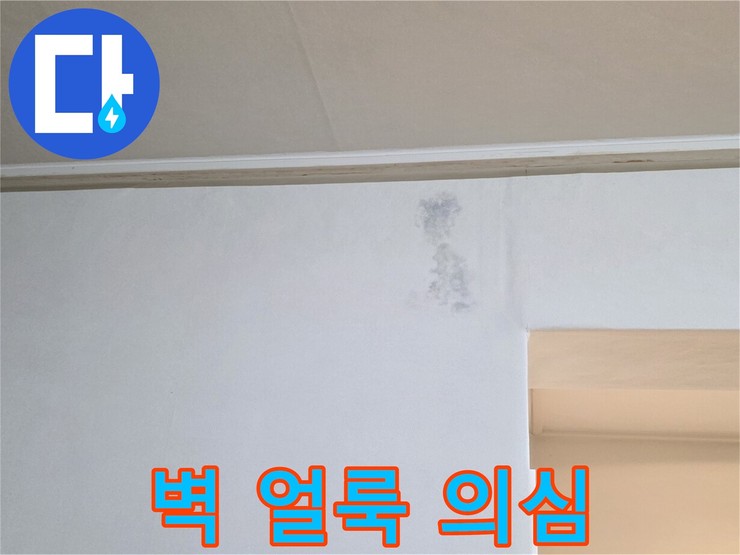 벽 얼룩 - 누수 초기 의심 - 곰팡이 가능성