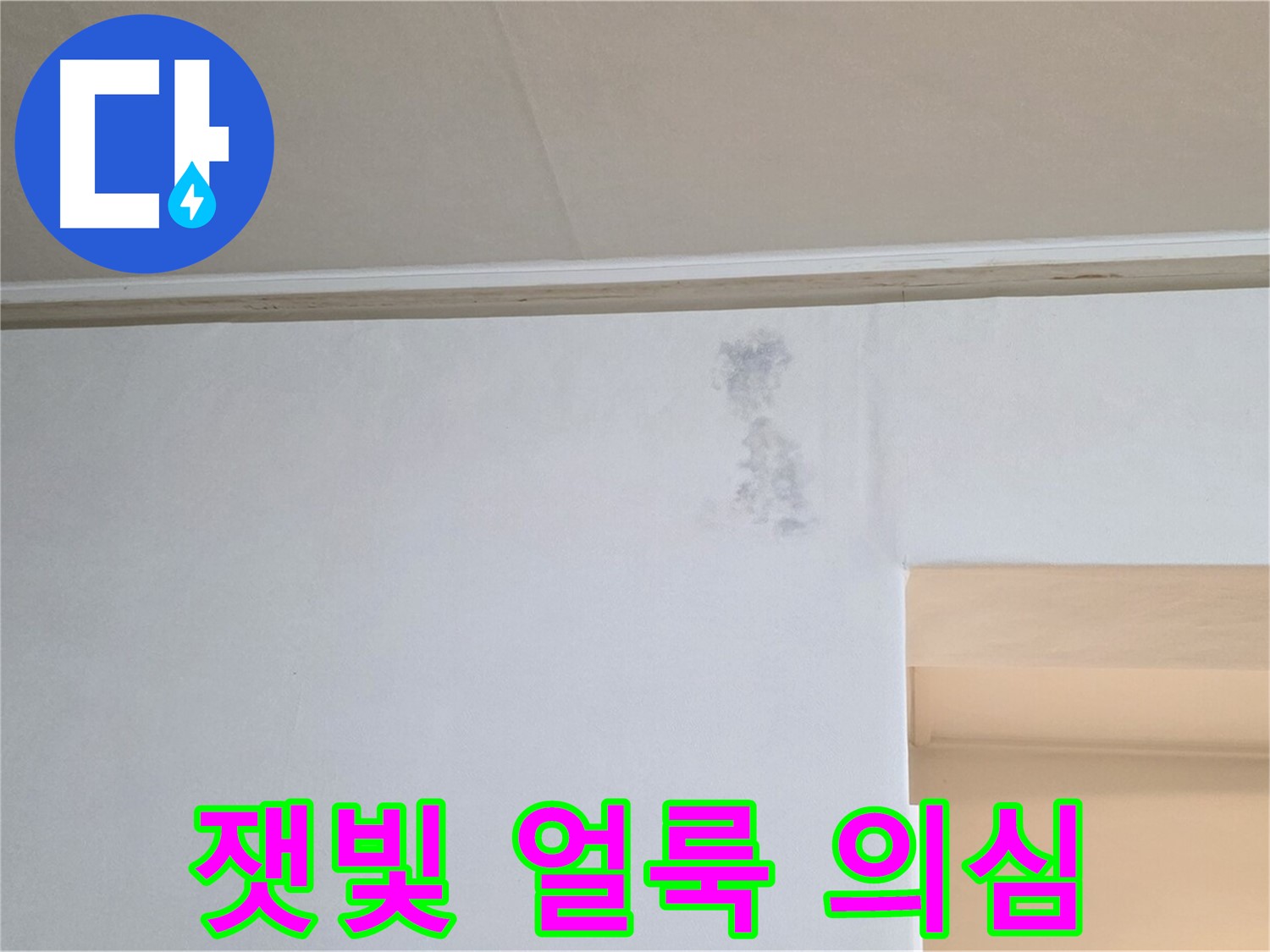 벽 잿빛 얼룩 - 누수 초기 신호 의심 - 곰팡이 가능성