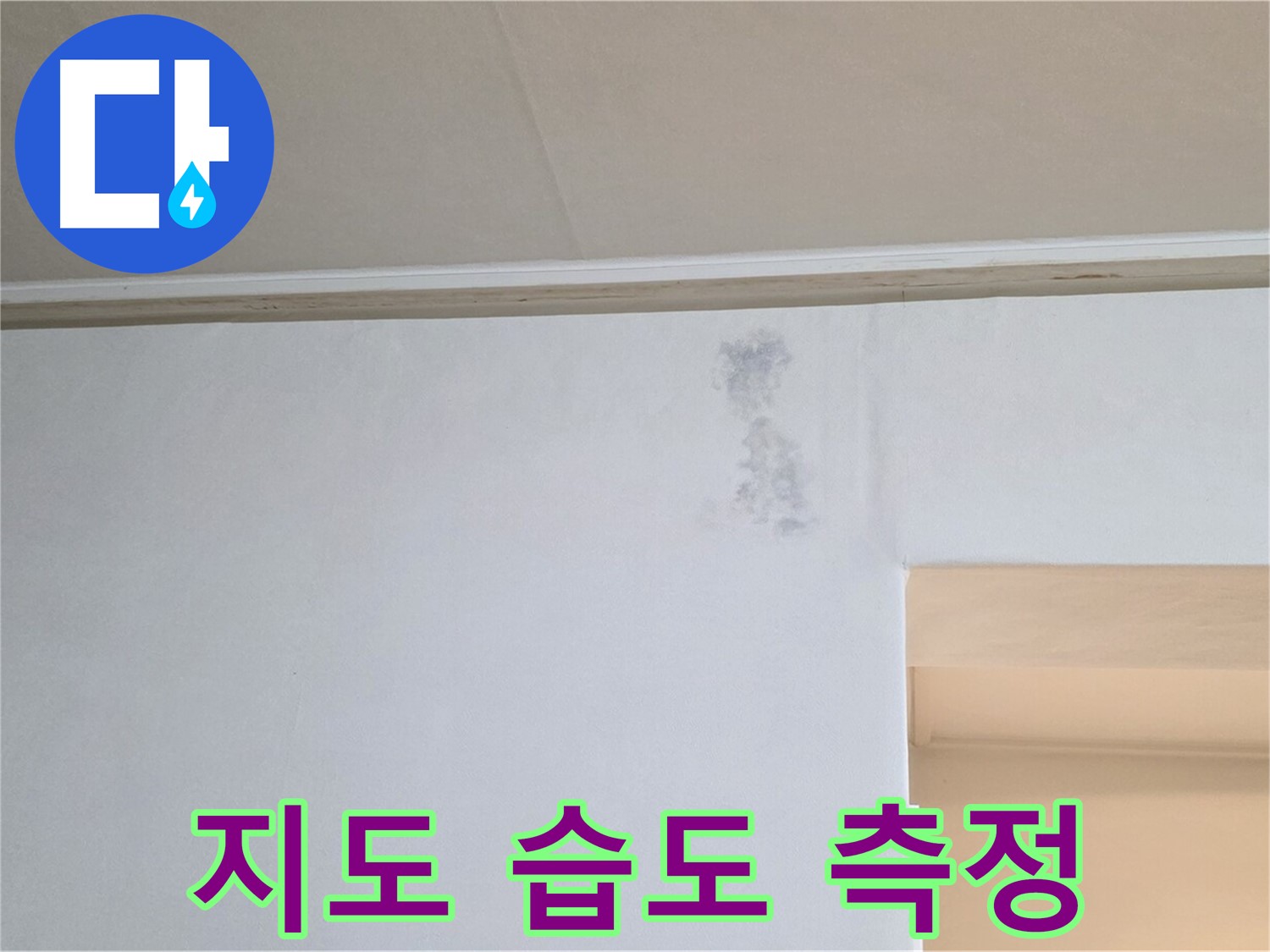 얼룩 지도 습도 측정 - 누수 & 곰팡이 정밀 과학 검사