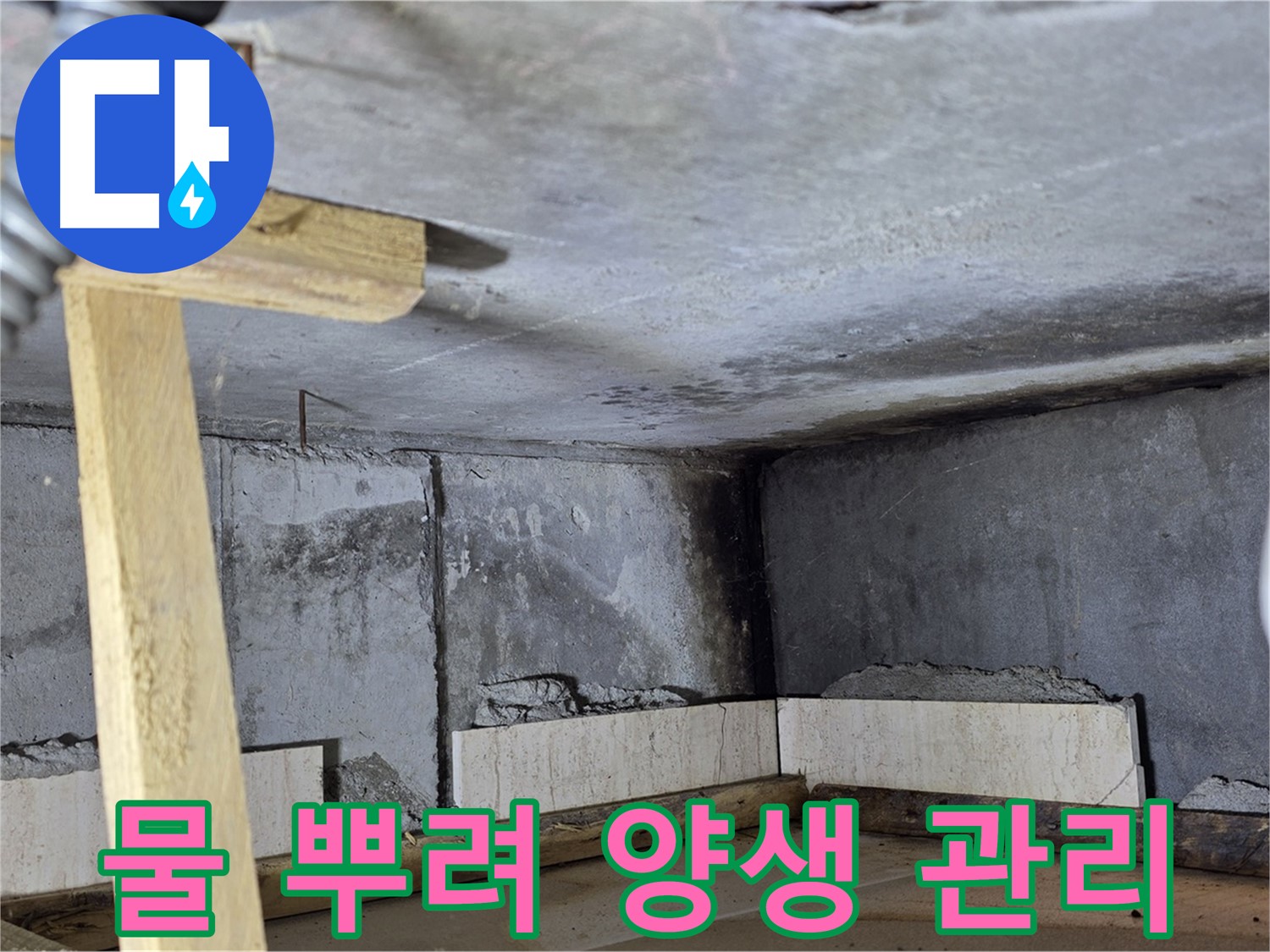 욕조 조적 시멘트 양생 - 물 뿌려 꼼꼼하게 관리