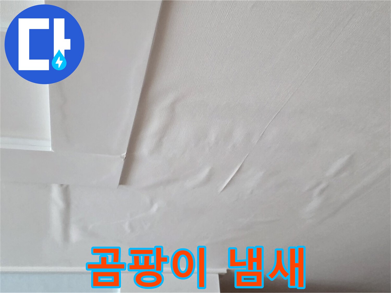 일동기산베스트빌 아파트 천장 누수 - 곰팡이 냄새 - 기억력 감퇴 - 치매 유발