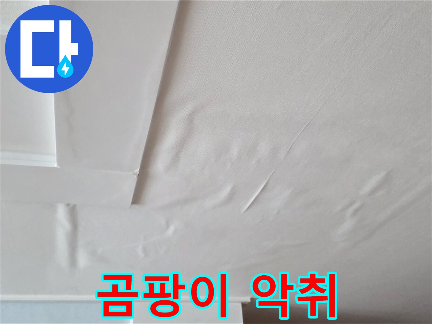 일동기산베스트빌 아파트 천장 누수 - 곰팡이와 악취 발생
