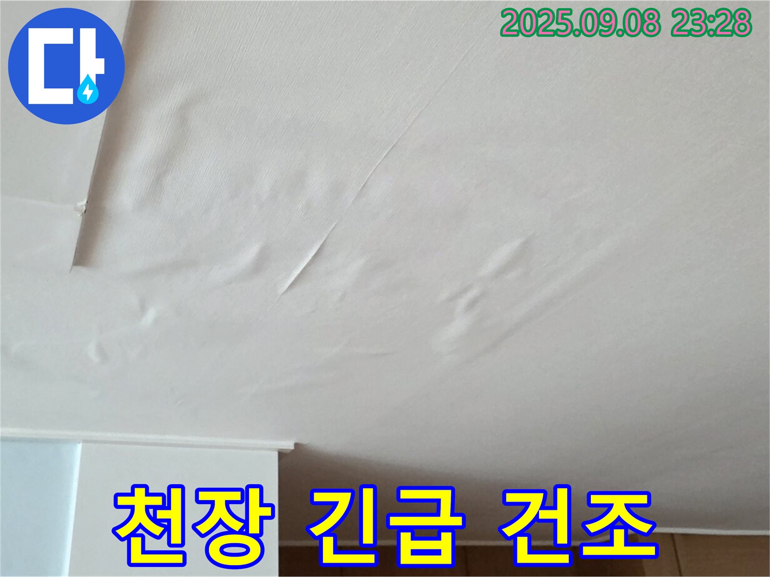 천장 누수 해결 - 젖은 천장 긴급 건조 및 습도 조절