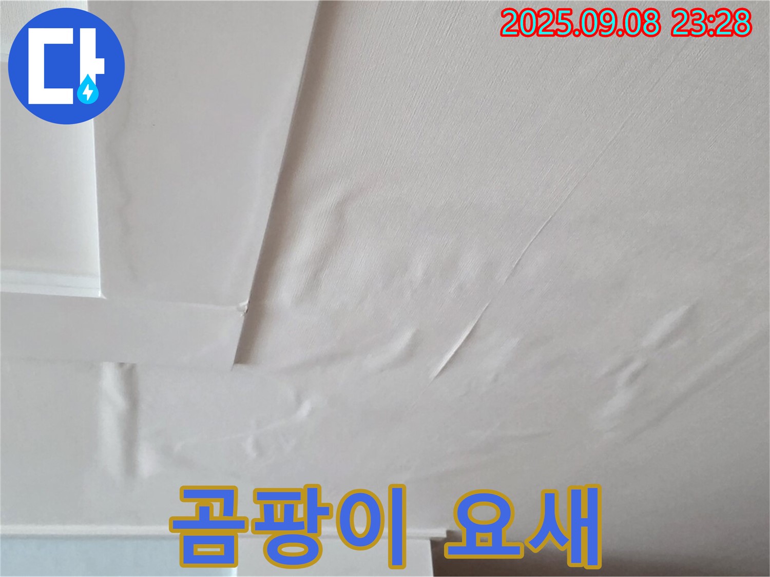 포천 일동 아파트 - 곰팡이 요새 - 건강 위협 - 누수 해결 필수
