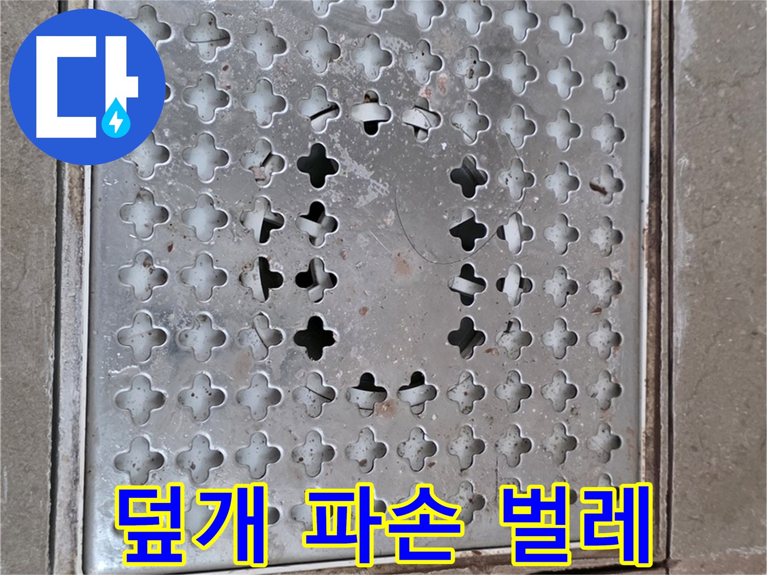 포천 일동 아파트 - 덮개 파손 - 벌레 유입 통로
