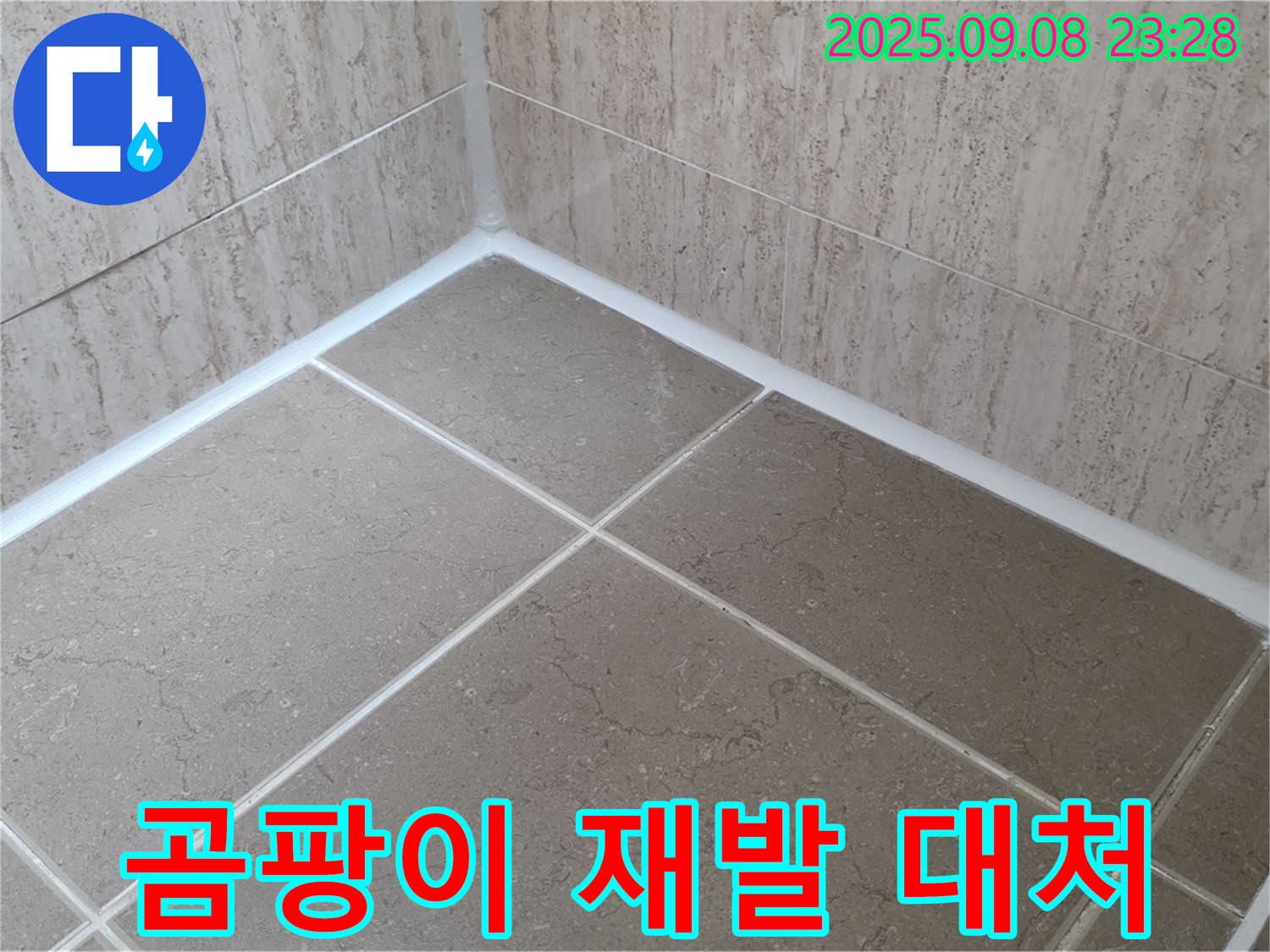포천 일동 아파트 욕실 - 실리콘 시공 후 곰팡이 재발 시 대처법