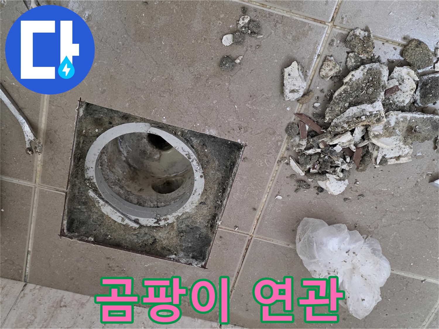 포천 일동 욕실 - 깨진 타일 사이 곰팡이, 욕실 배수구 누수와 관련 있을 수 있습니다!