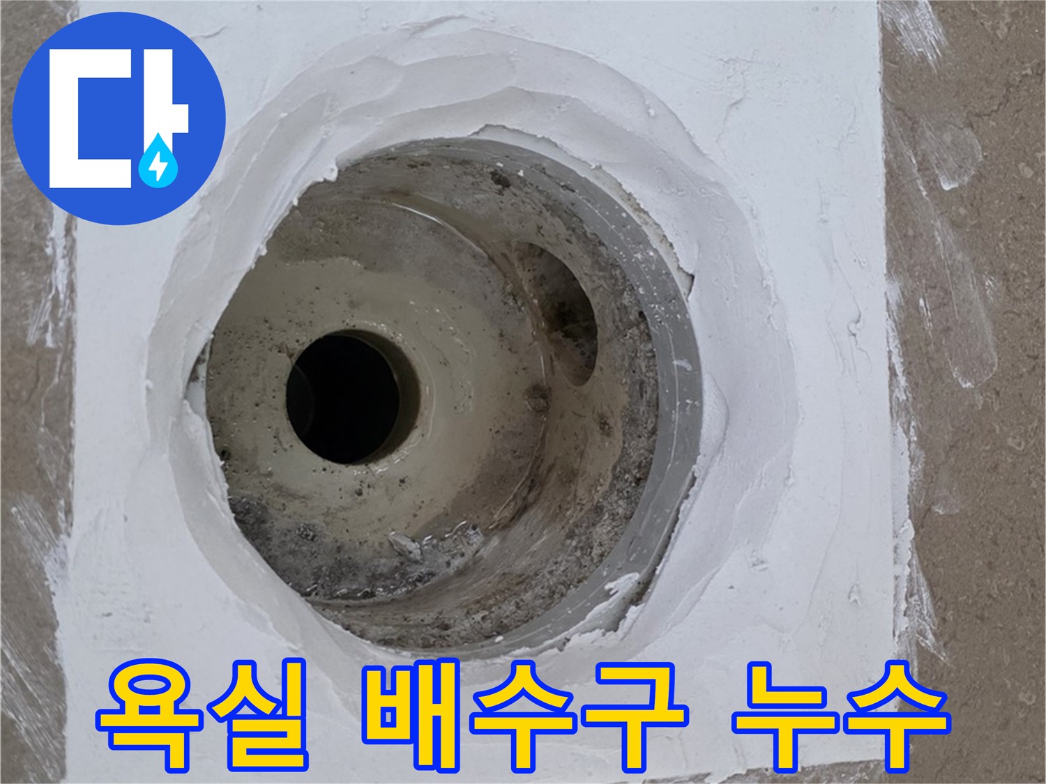 포천 일동면 아파트 욕실 배수구 주변 누수 - 전문 누수탐지 기술로 문제 해결