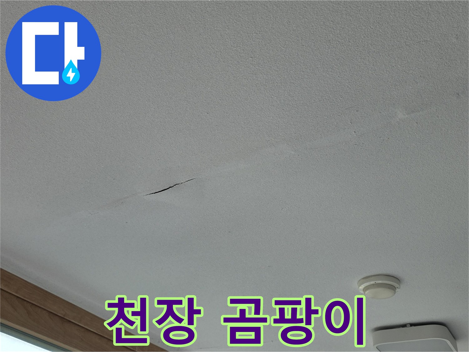 포천시 일동면 아파트 천장 - 곰팡이 발생 부위 확대