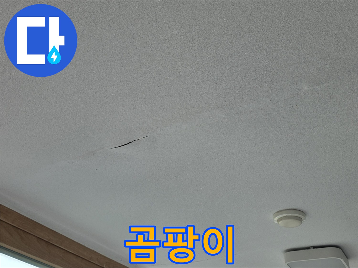 포천시 일동면 아파트 천장 - 곰팡이 제거 작업