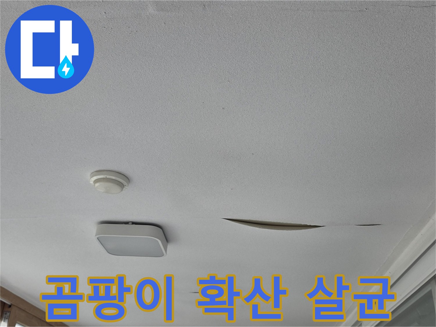 포천시 일동면 아파트 천장 누수 - 석고보드 곰팡이 확산 긴급 살균