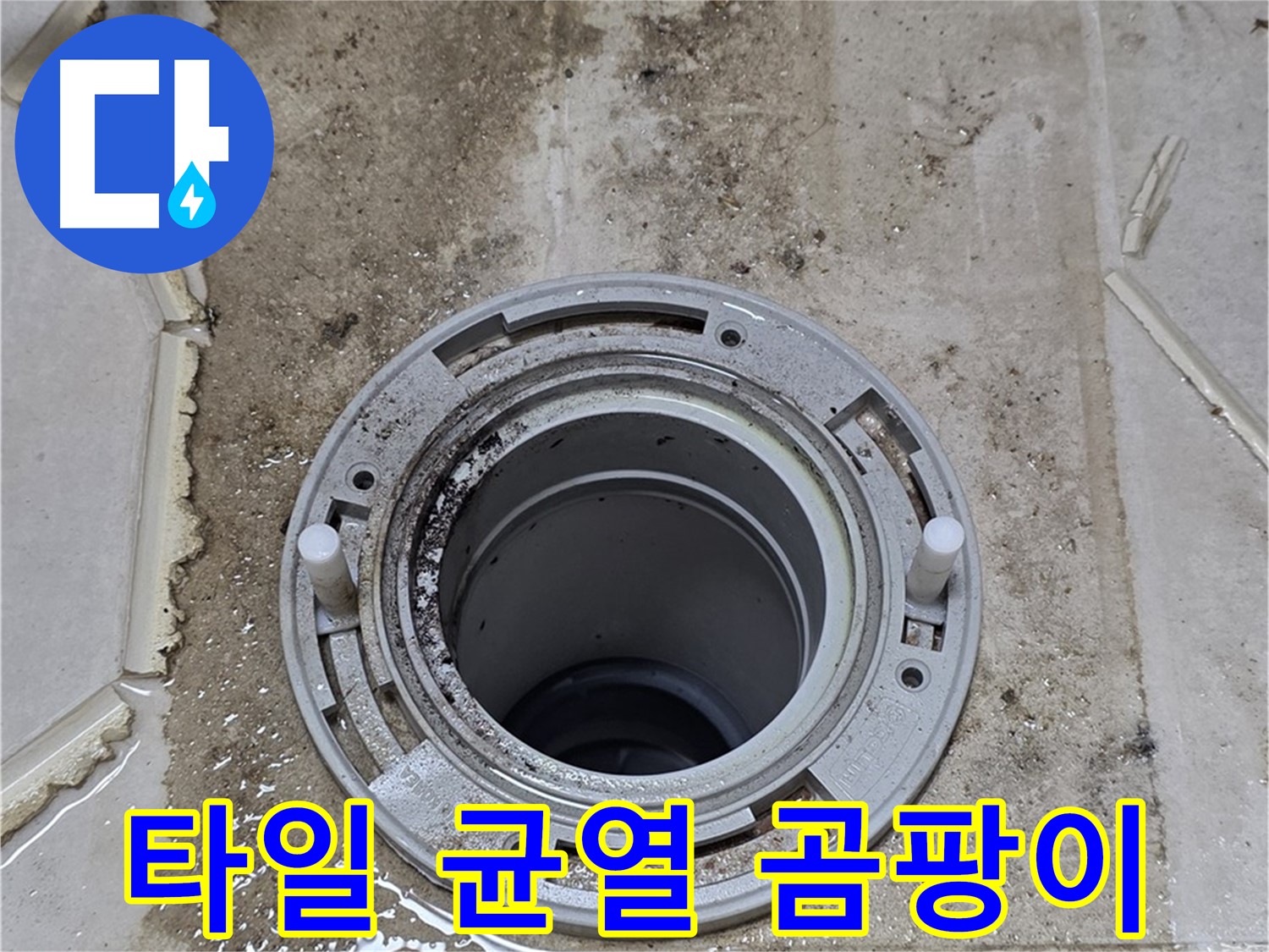 변기 플랜지 주변 타일 틈새 - 오염과 함께 균열이 심화되고 악취와 곰팡이까지 발생하고 있습니다.
