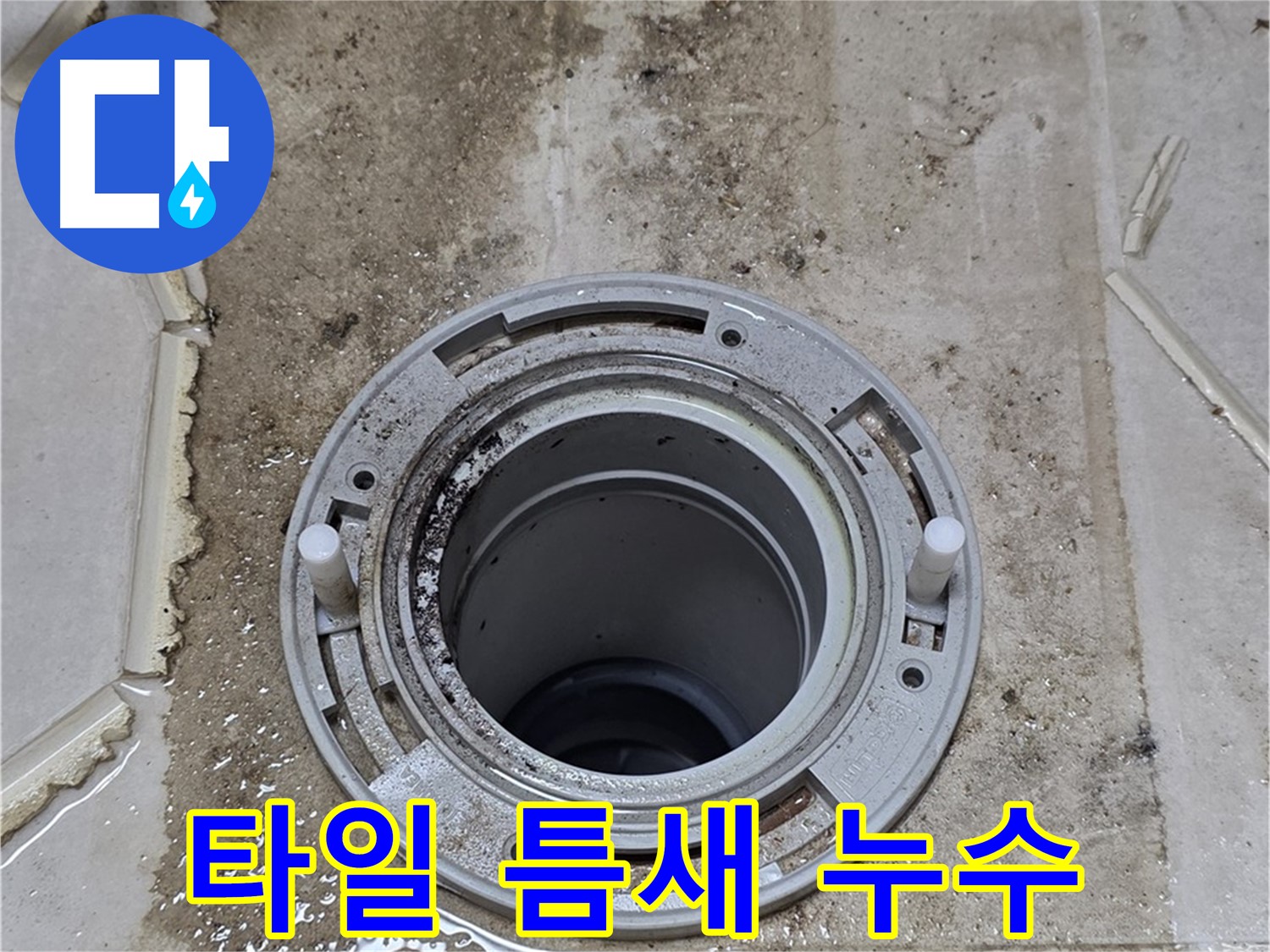 변기 하부 타일 틈새 누수 - 백시멘트 손상과 함께 누수가 진행 중입니다.
