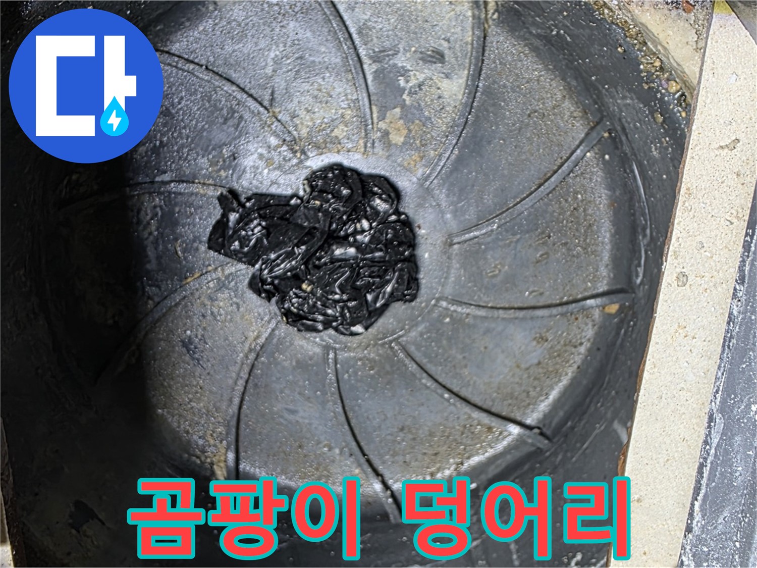 세탁기 배수구 - 혐오스러운 곰팡이 덩어리 발견!