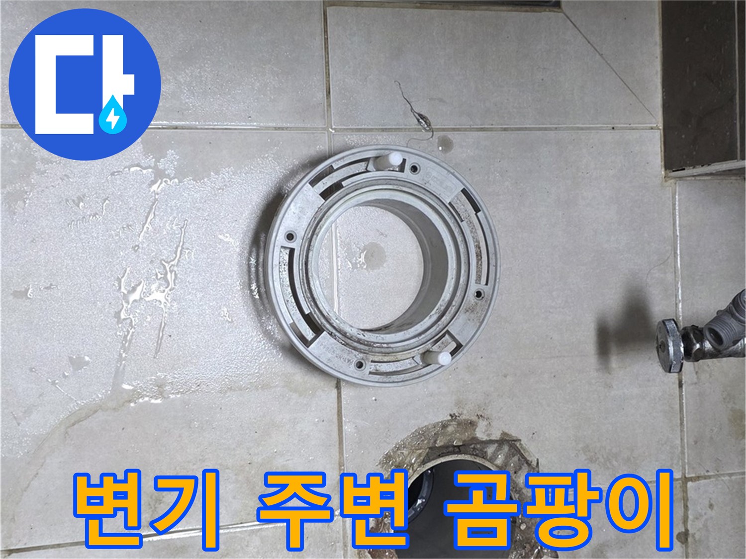 양주 옥정 아파트 변기 누수 - 변기 주변 곰팡이 발생 확인
