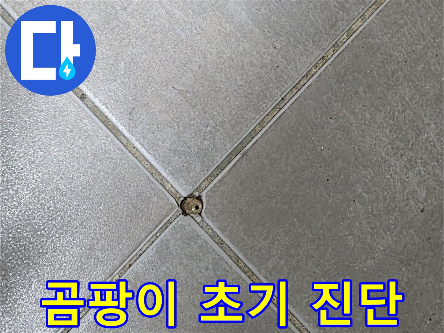 양주 옥정 율정마을 13단지 아파트 타일 틈새 곰팡이 - 초기 진단으로 누수 걱정 이제 끝!