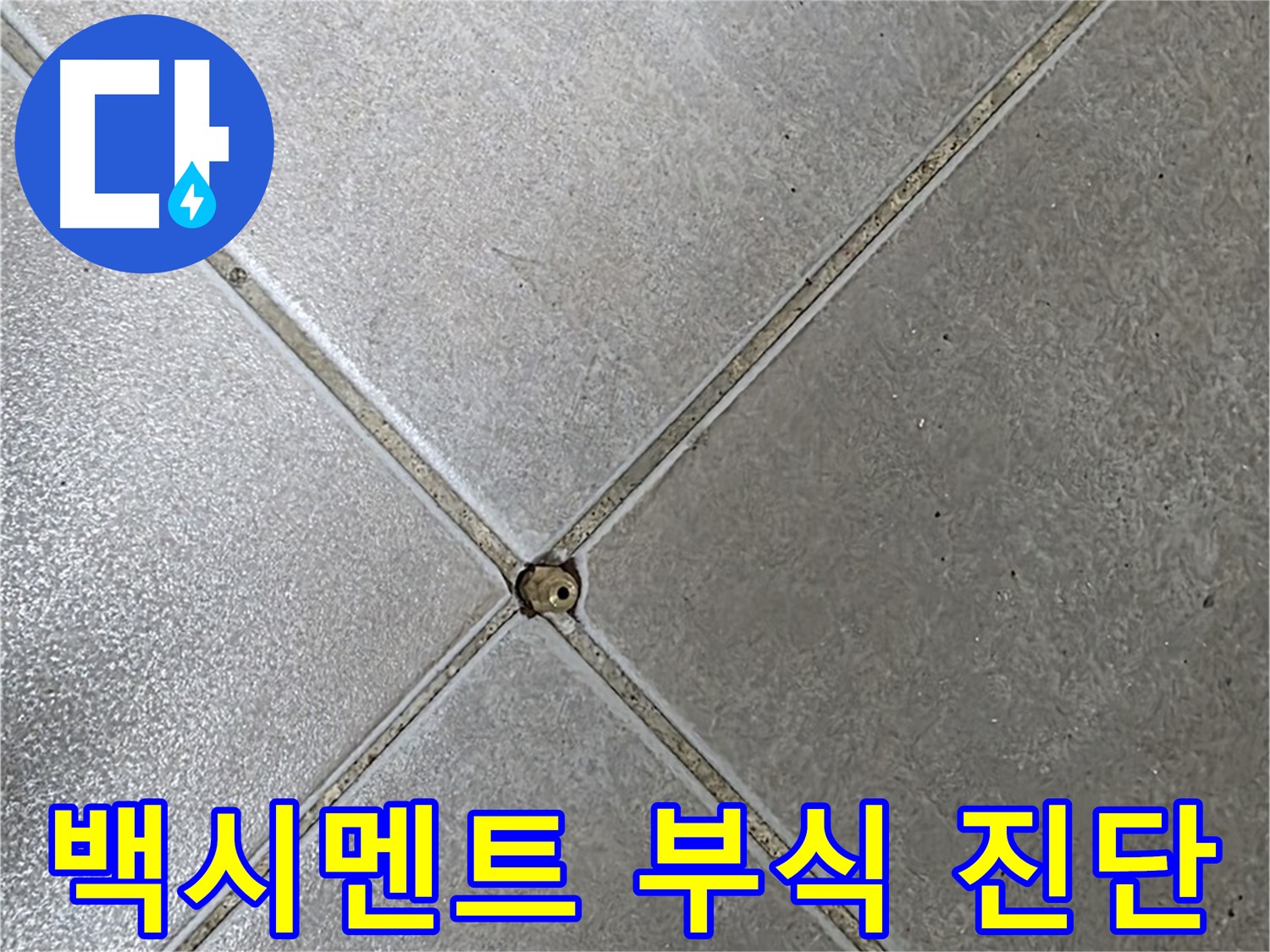 양주 옥정 율정마을 13단지 아파트 타일 틈새 백시멘트 부식 - 누수 정밀 진단이 필요합니다.