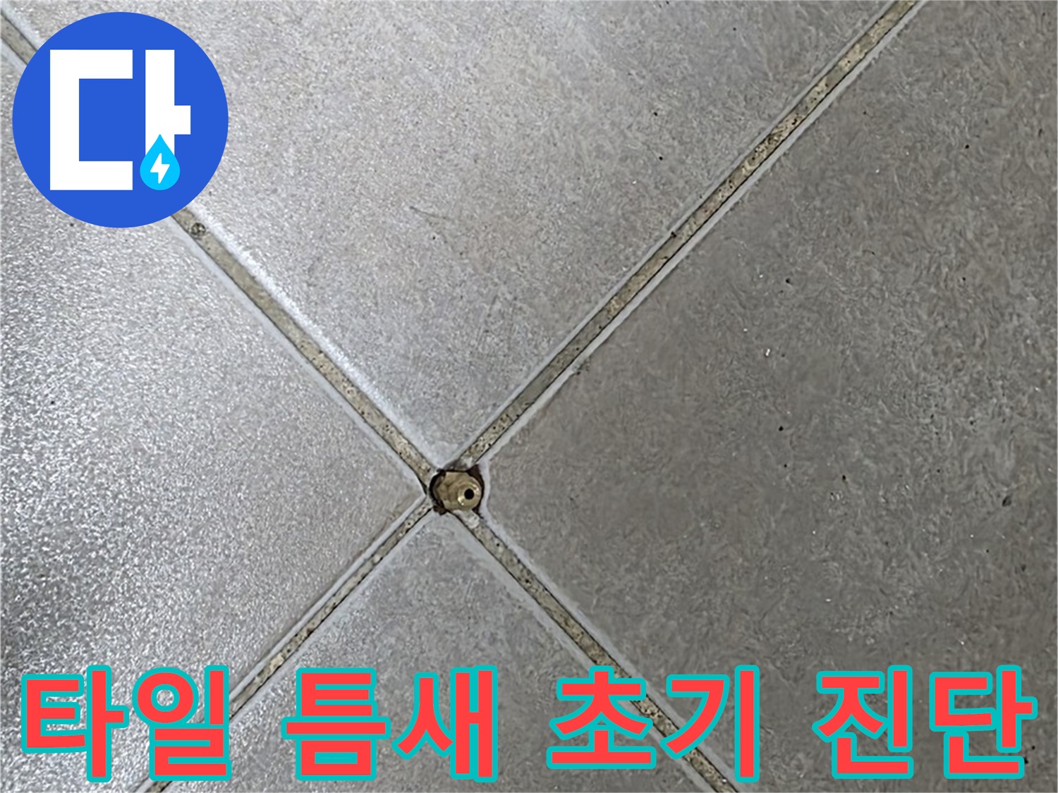 양주 옥정 율정마을 13단지 아파트 타일 틈새 - 초기 진단으로 누수 걱정 이제 끝!
