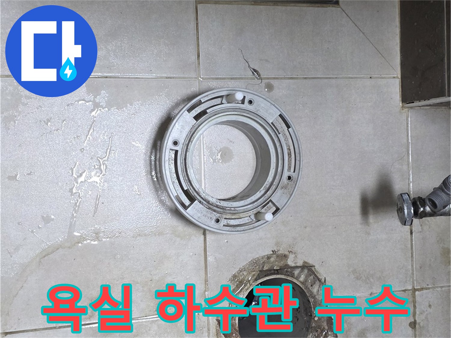 양주 옥정 율정마을 아파트 욕실 하수관 누수 - 누수 전문가의 완벽한 해결