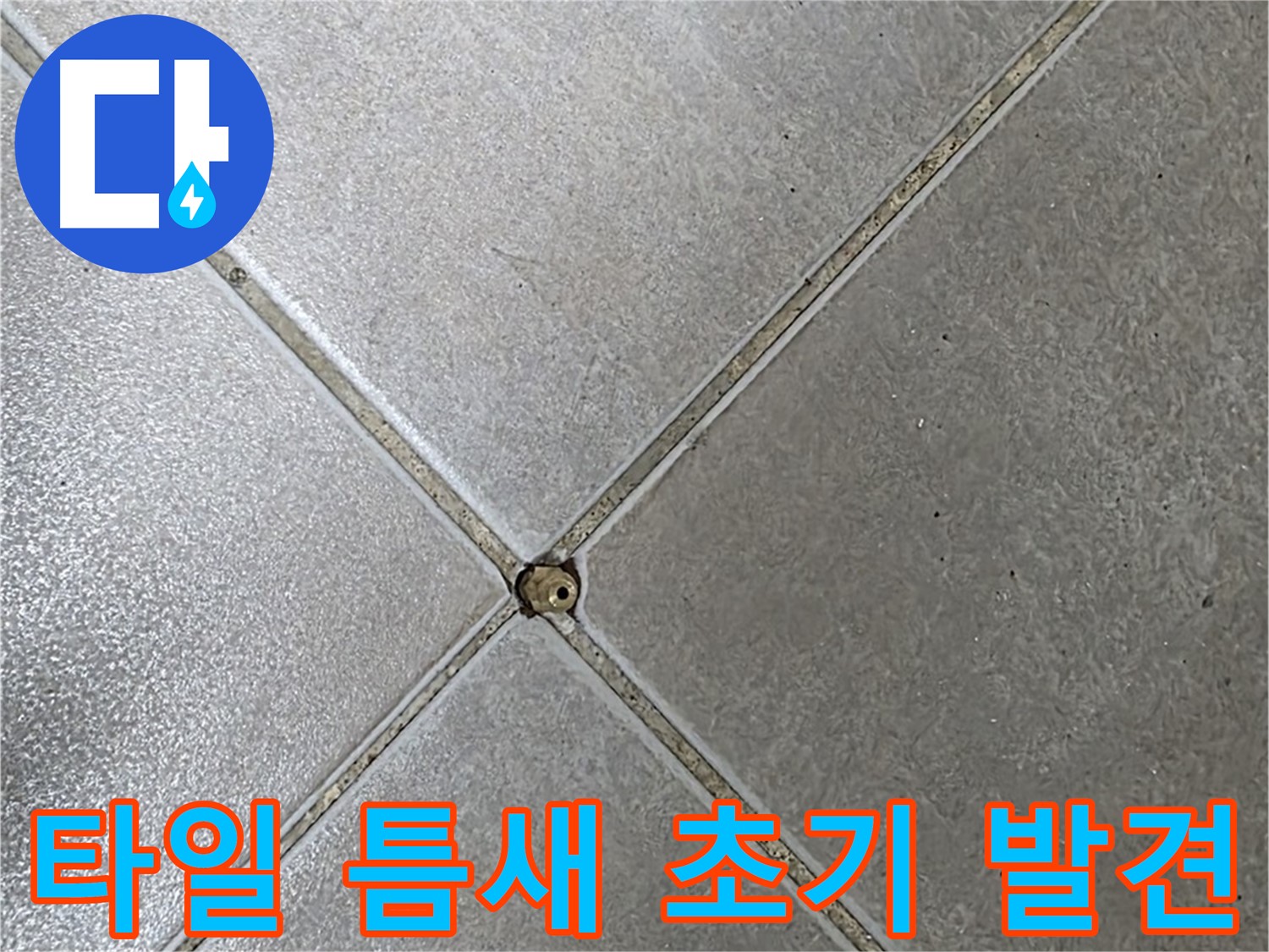 양주 옥정동 율정마을 13단지 아파트 타일 틈새 누수 - 초기 발견 사진입니다.
