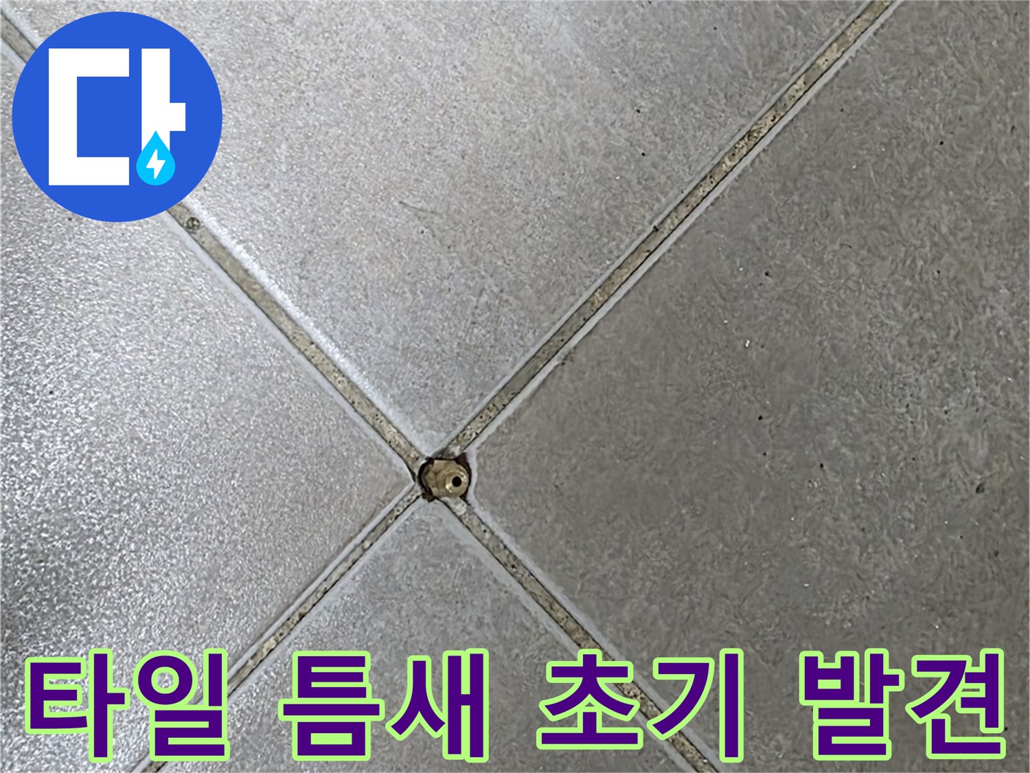 양주 옥정동 율정마을 13단지 아파트 타일 틈새 누수 - 초기 발견 사진입니다.