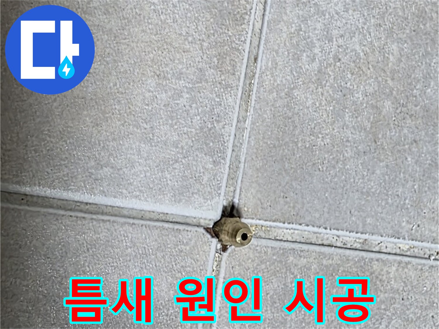 양주 옥정동 율정마을 아파트 누수 - 타일 틈새 누수, 원인부터 해결까지 책임 시공으로 완벽하게 해결해 드립니다!