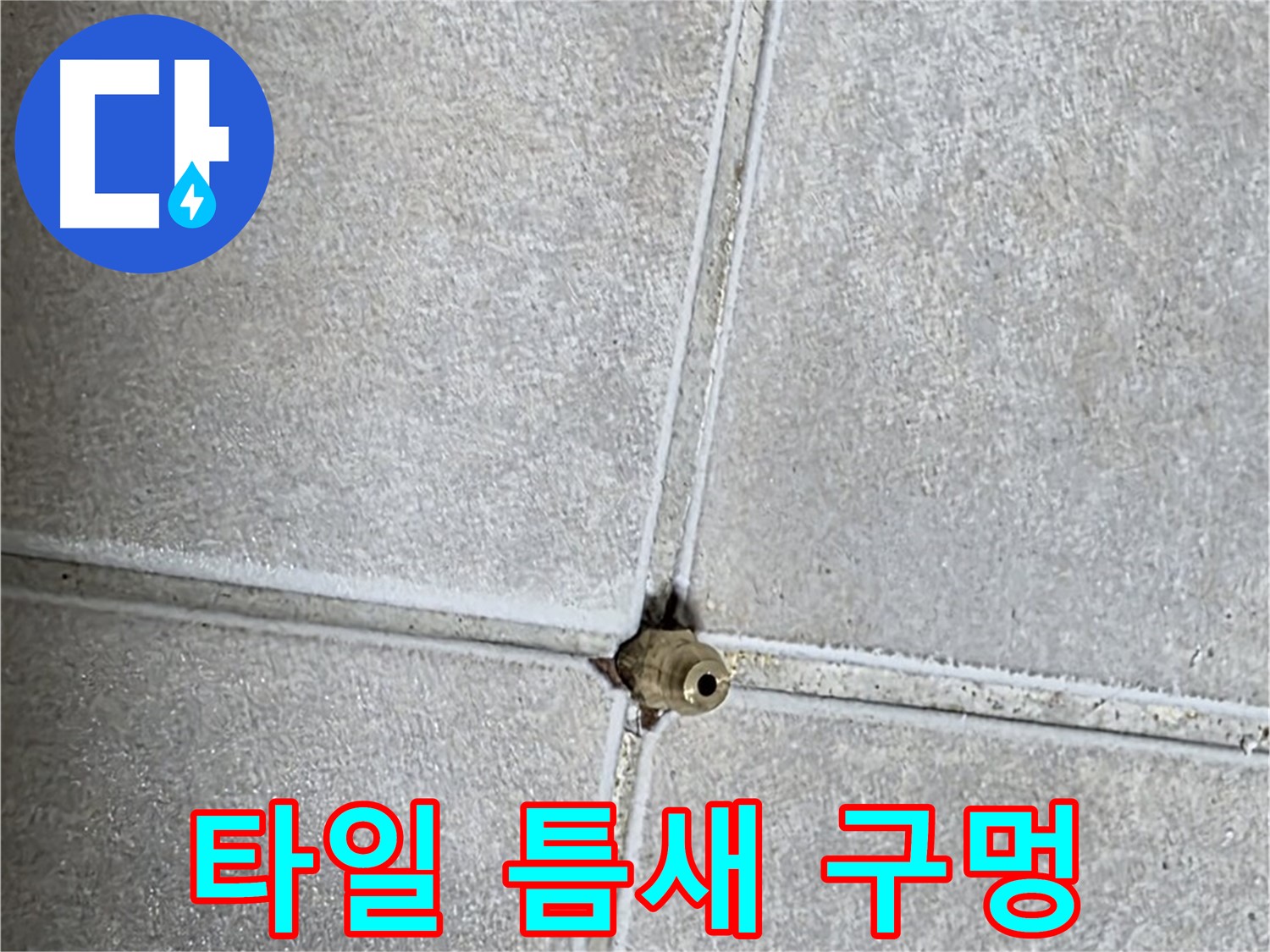 양주 옥정동 율정마을 아파트 누수 - 타일 틈새에 뚫린 작은 구멍, 누수 탐지의 시작을 알립니다.