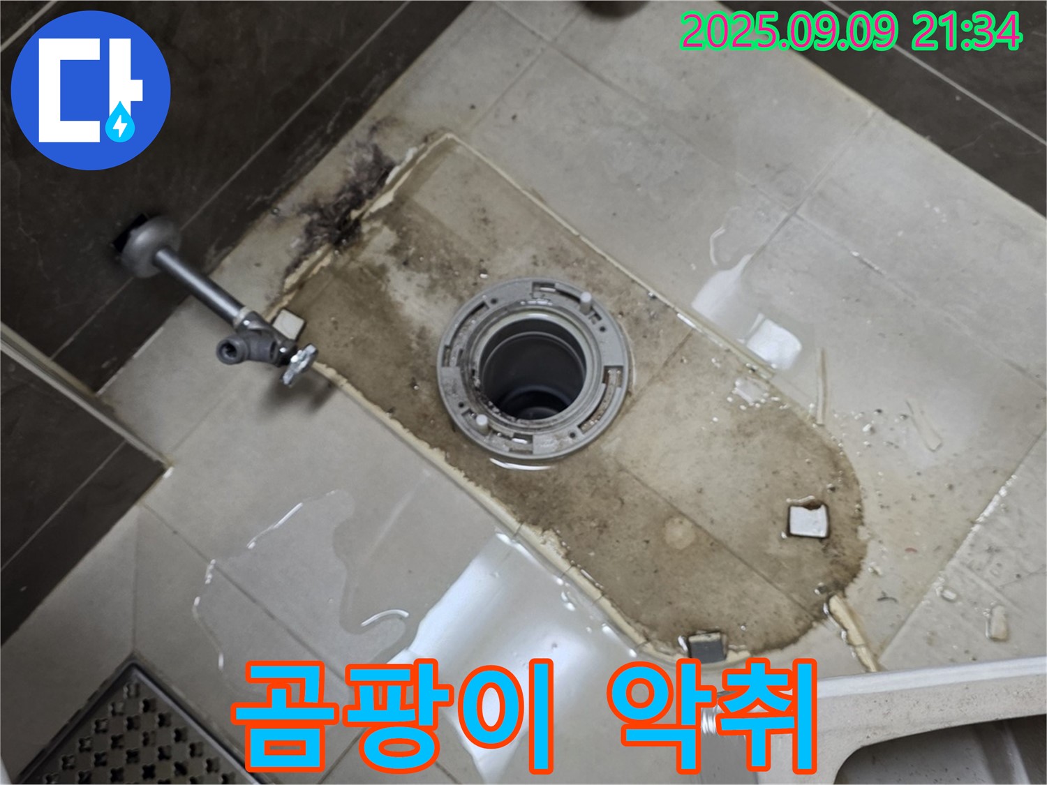 양주 옥정동 율정마을 아파트 - 변기 철거 후 곰팡이 악취! 어휴!