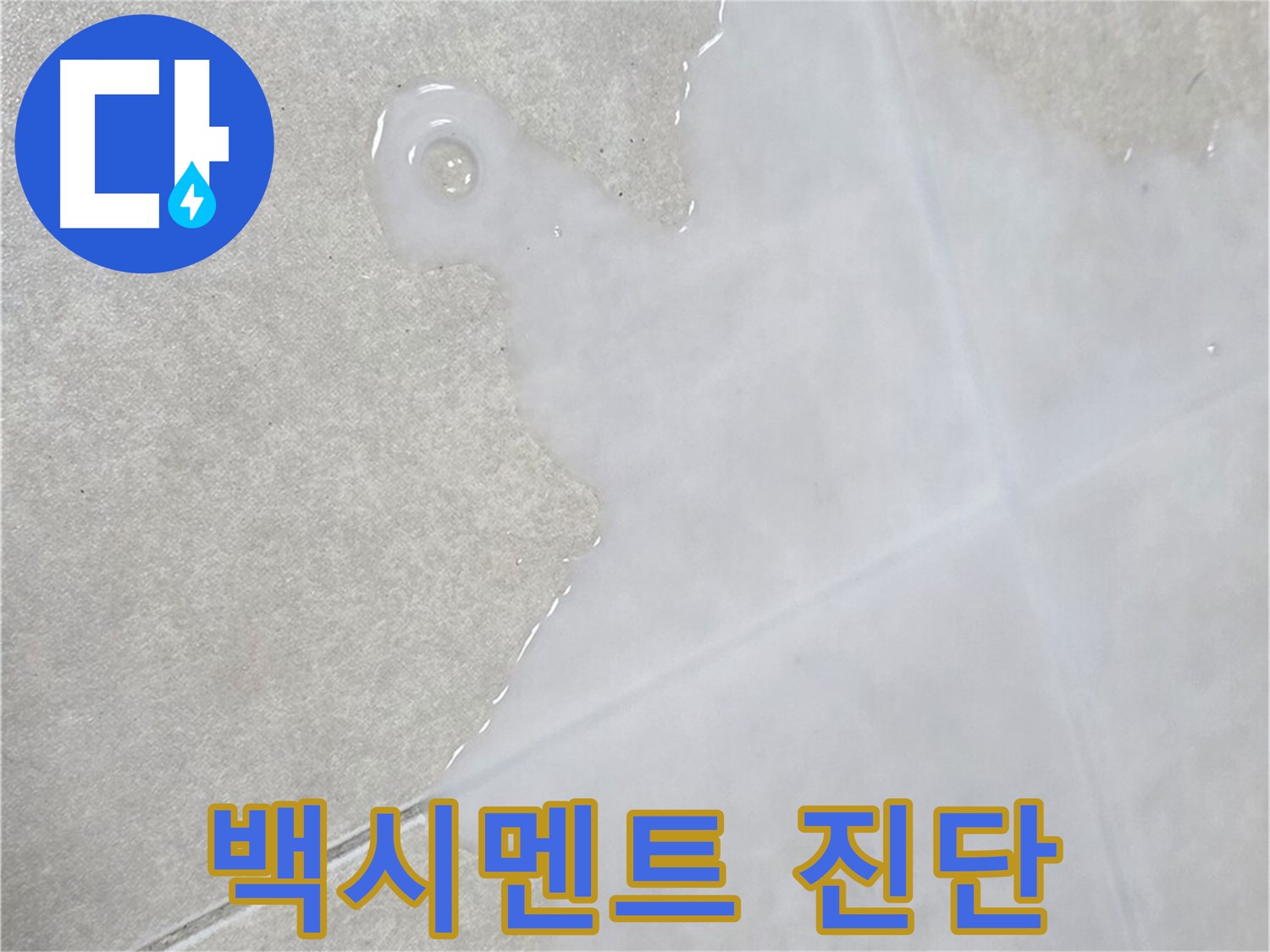 양주 옥정동 율정마을 아파트 타일 틈새 백시멘트 오염 - 누수 의심 시 진단 필수