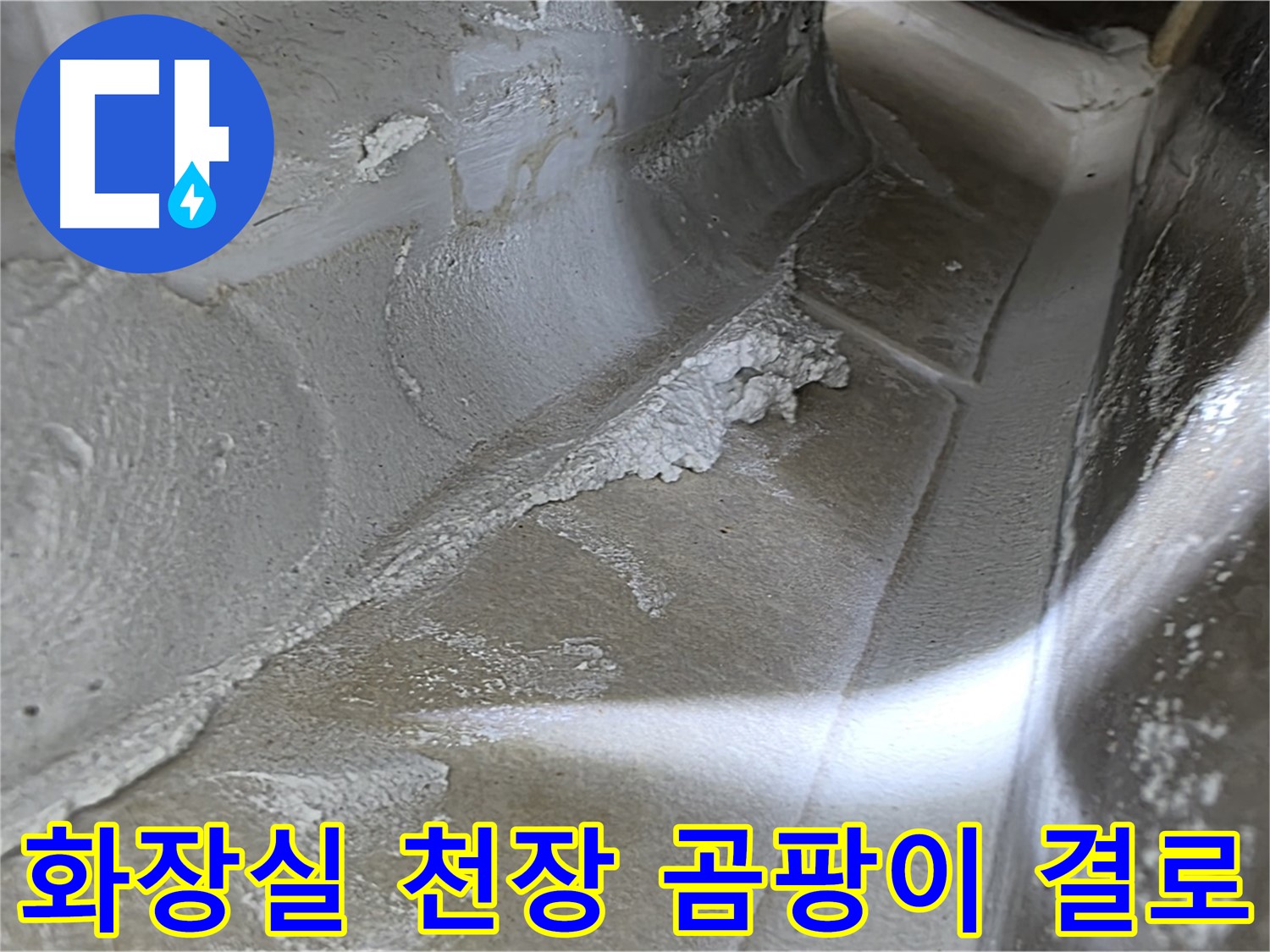 양주 옥정동 율정마을 화장실 천장 곰팡이 누수 - 결로 현상 해결로 곰팡이와 누수를 동시에 잡습니다.