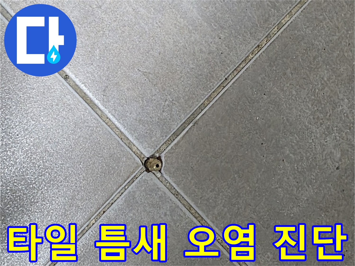 양주시 옥정동 율정마을 13단지 아파트 타일 틈새 - 오염과 누수 가능성 진단 중입니다.
