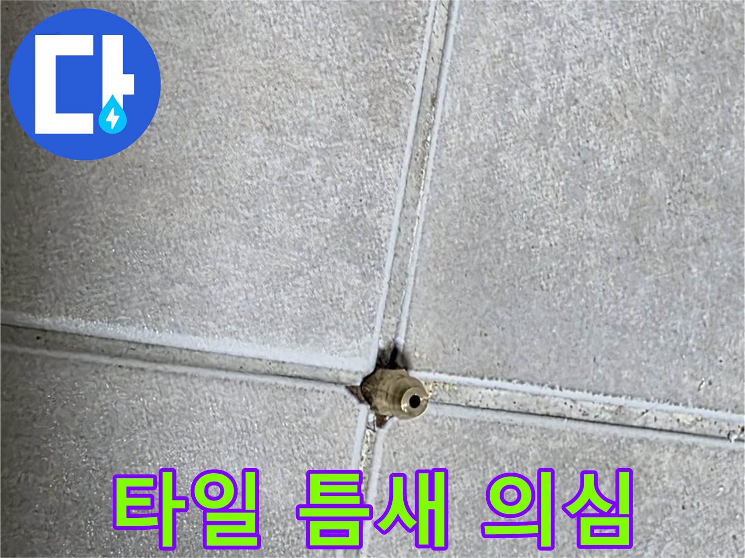 옥정 율정마을 아파트 누수 - 타일 틈새를 의심하고 꼼꼼하게 점검하세요!