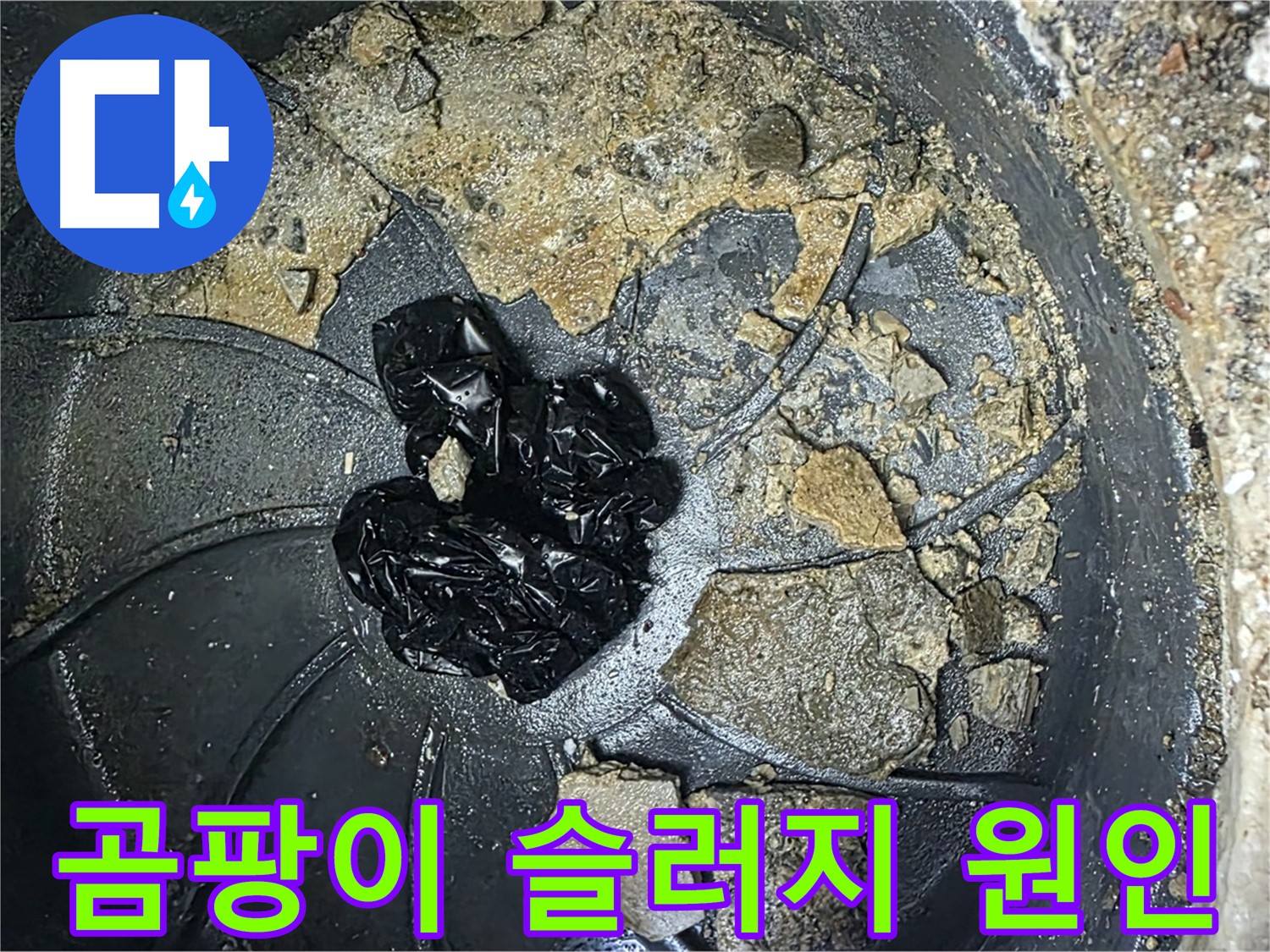 옥정 율정마을 아파트 - 배수구 막힘의 주범은 곰팡이와 슬러지!