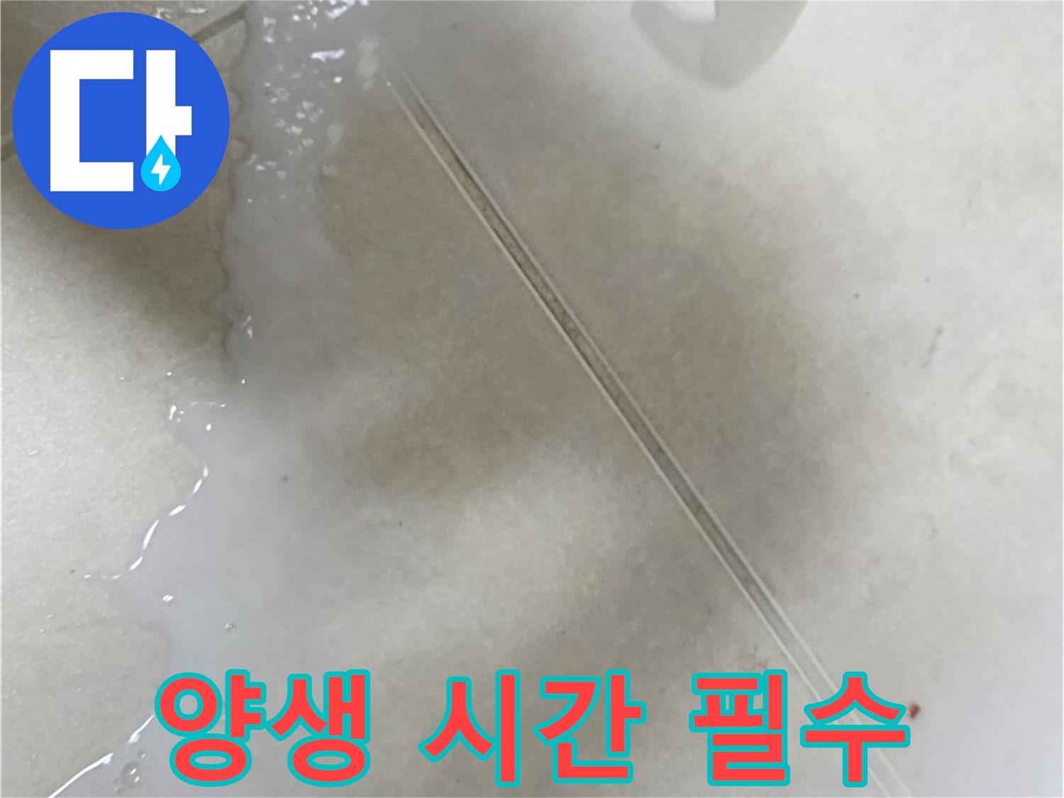 옥정동 누수 - 주입식 방수액 시공 후 양생 시간은 필수!