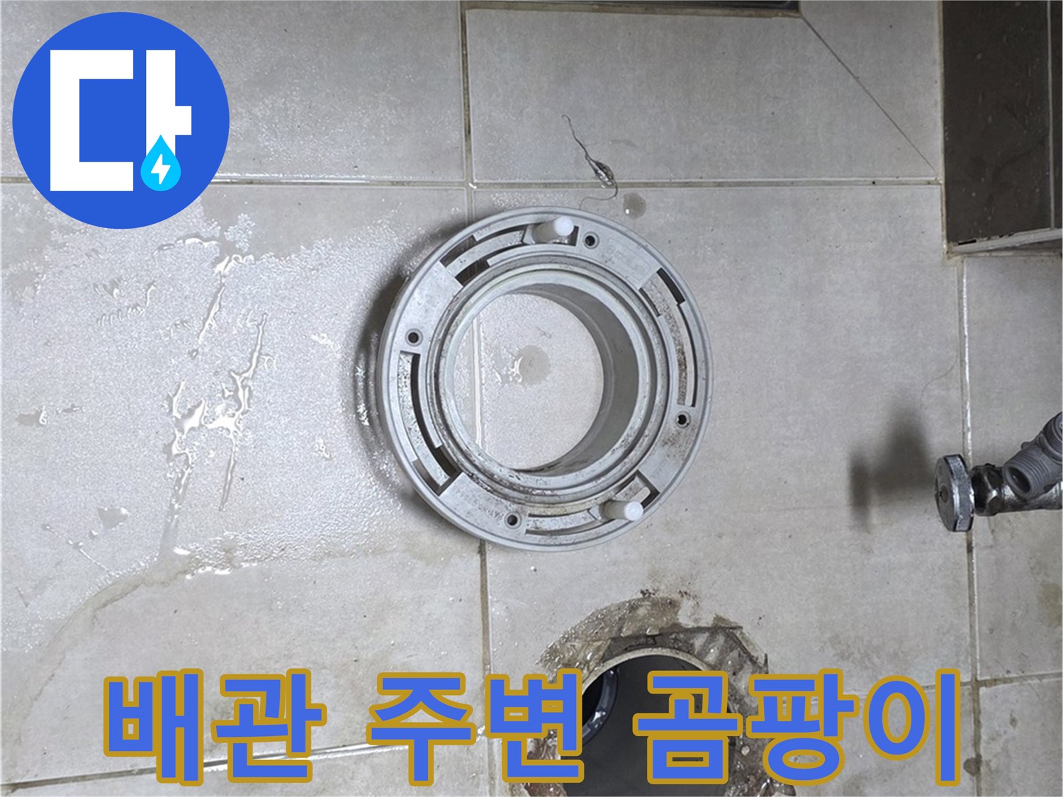 옥정동 율정마을 아파트 변기 누수 - 배관 주변 곰팡이 상태 확인