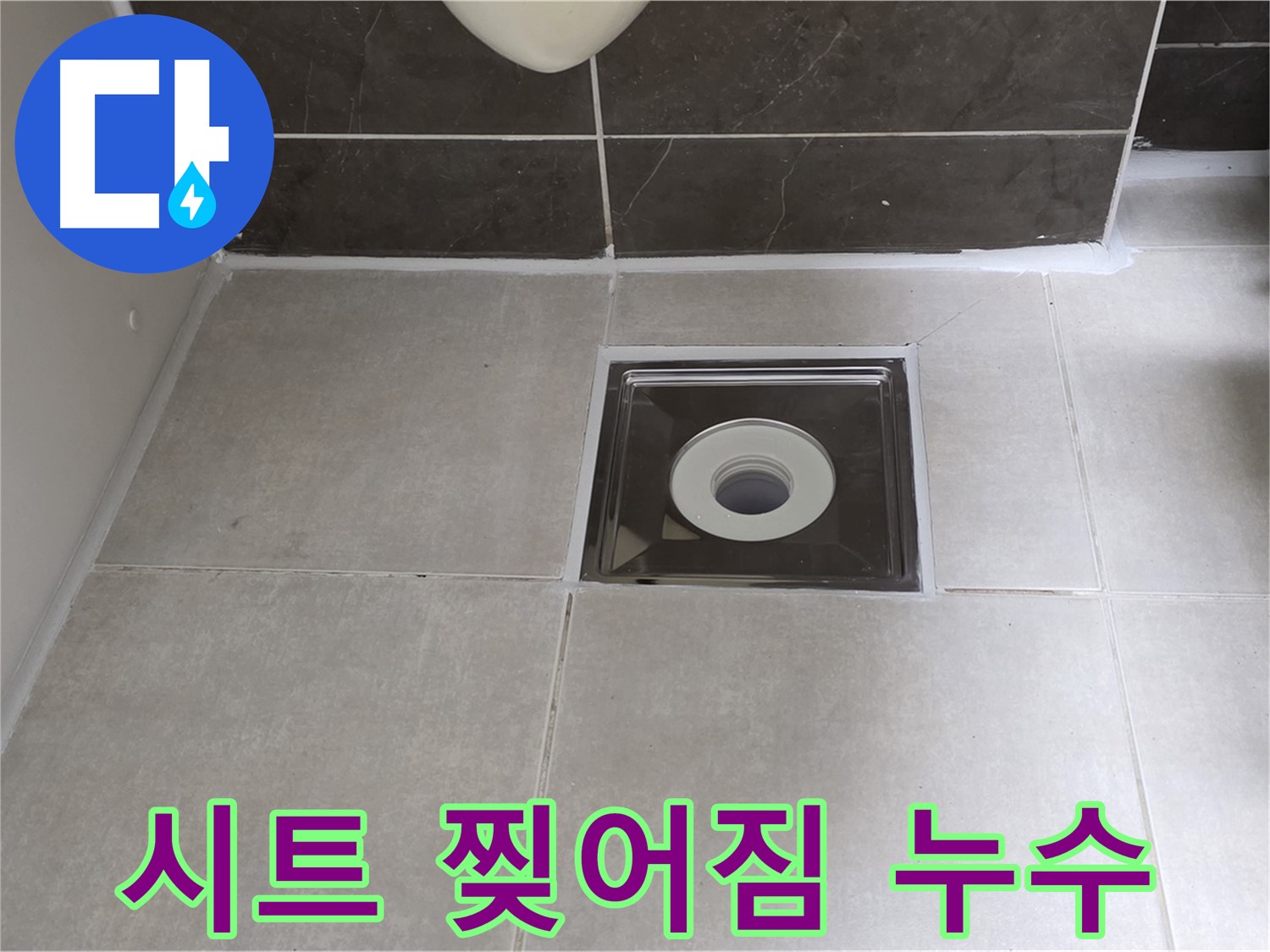옥정동 율정마을 아파트 욕실 배수구 주변 방수 시트 찢어짐 누수 - 찢어진 시트 제거 후 재시공으로 완벽 방수!