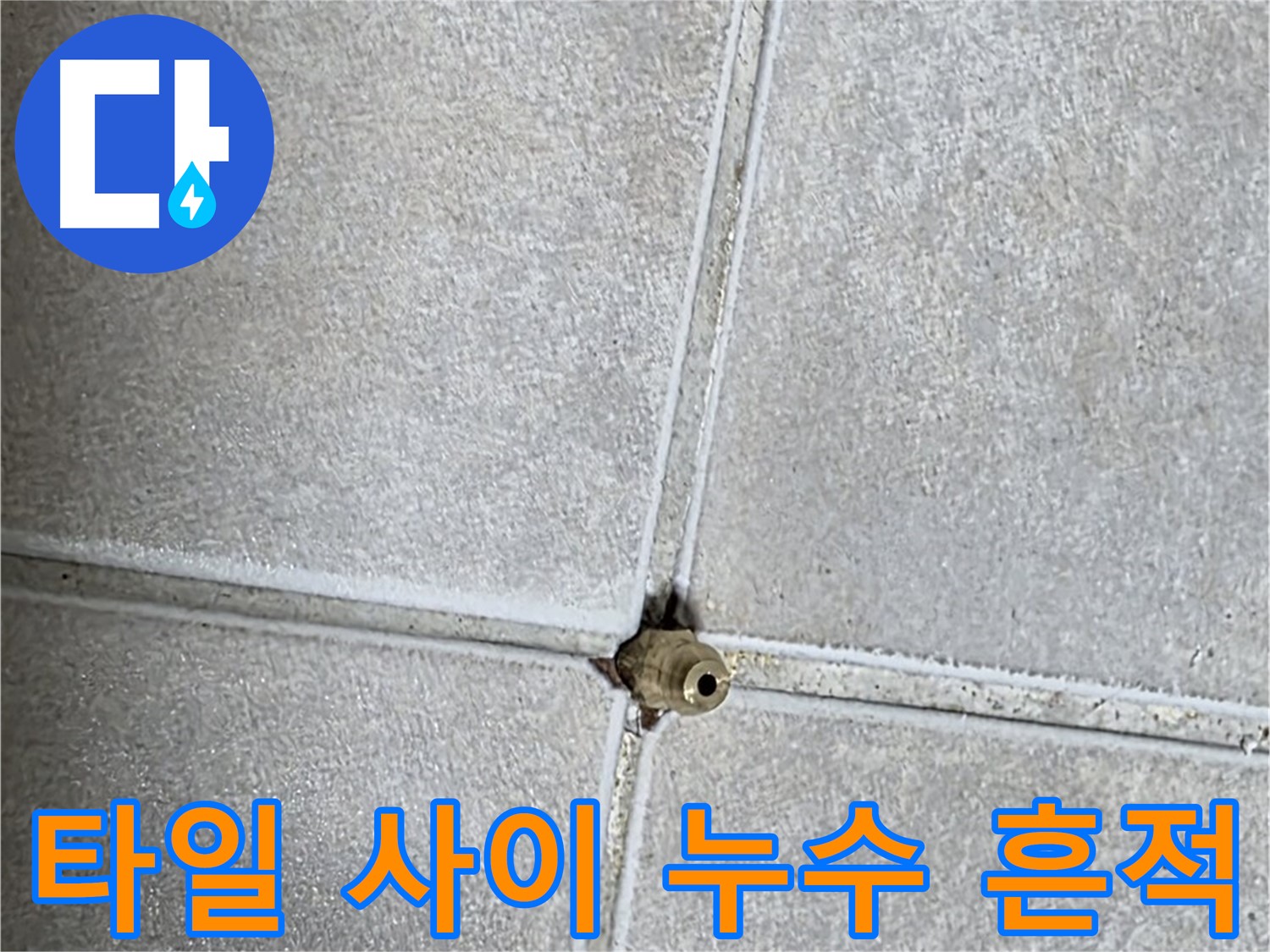 옥정동 율정마을 아파트 화장실 타일 사이에서 발견된 누수 흔적 - 전문 누수탐지 기술로 정확하게 찾아냈습니다.