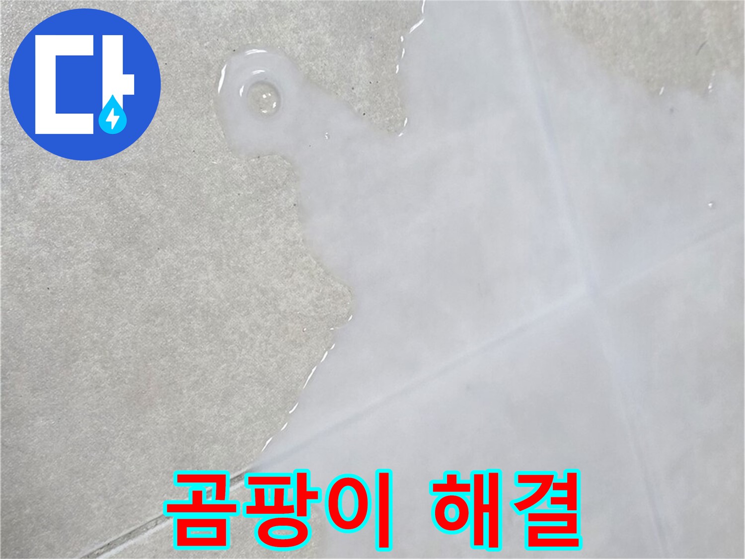옥정신도시 율정마을 아파트 타일 위 백시멘트 곰팡이 - 누수 전문가가 해결