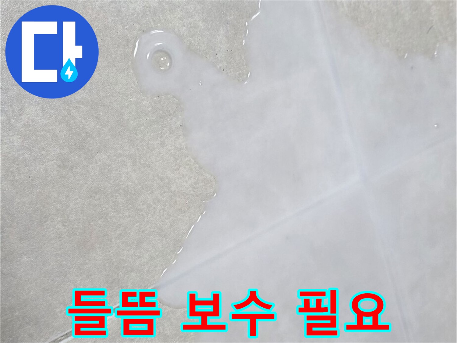 옥정신도시 율정마을 아파트 타일 틈새 백시멘트 들뜸 - 긴급 점검 및 보수 필요