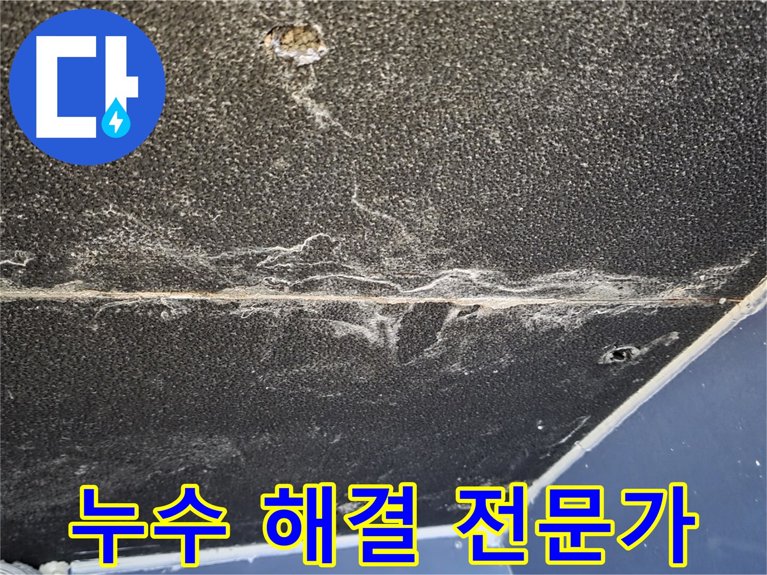누수 해결 전문가 - 숙련된 기술로 누수 문제 해결