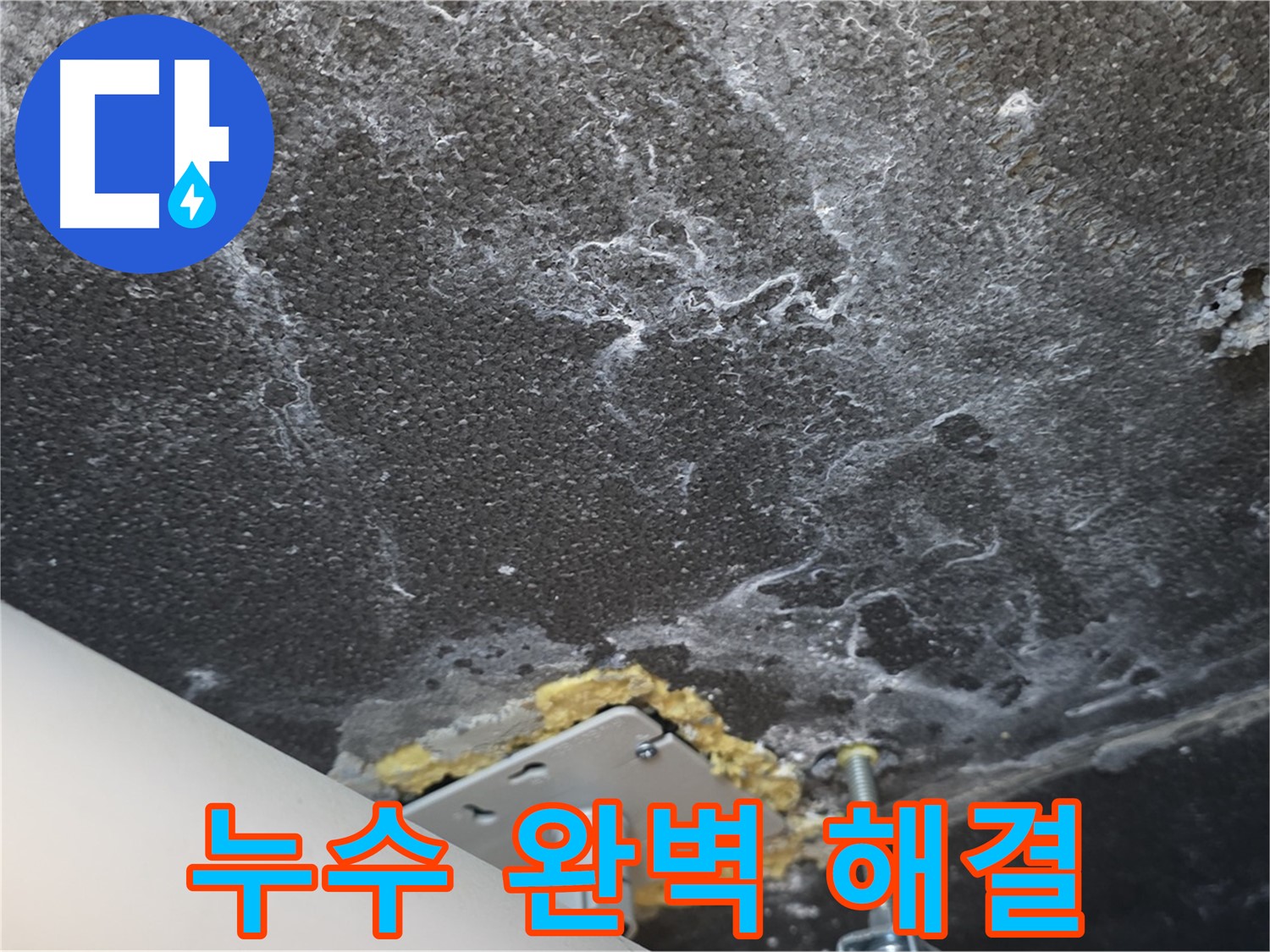 동패동 아파트 천장 누수 - 누수 문제 완벽 해결 완료