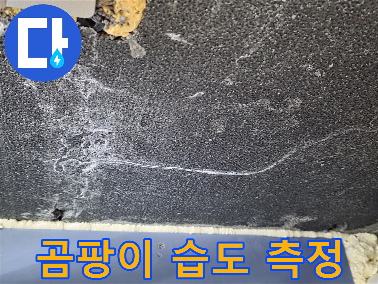 동패동 천장 누수 - 운정어반프라임 1201동 곰팡이 부위 습도 측정
