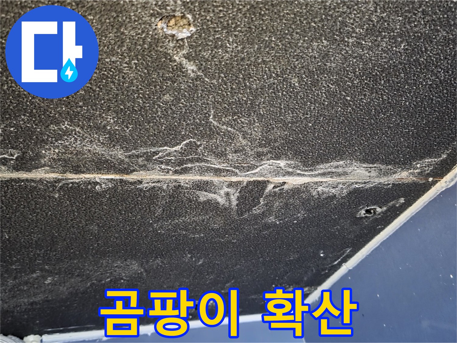 운정어반프라임 곰팡이 - 석고보드 곰팡이 확산 상태