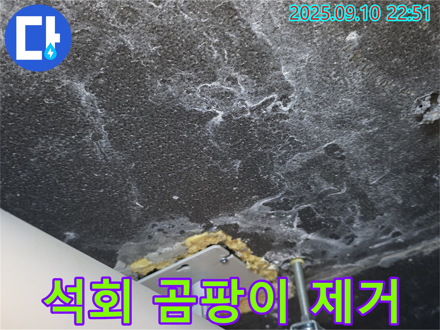 운정어반프라임 천장 누수로 인한 석회와 곰팡이 제거가 시급한 상황 - 빠른 조치가 필요합니다.
