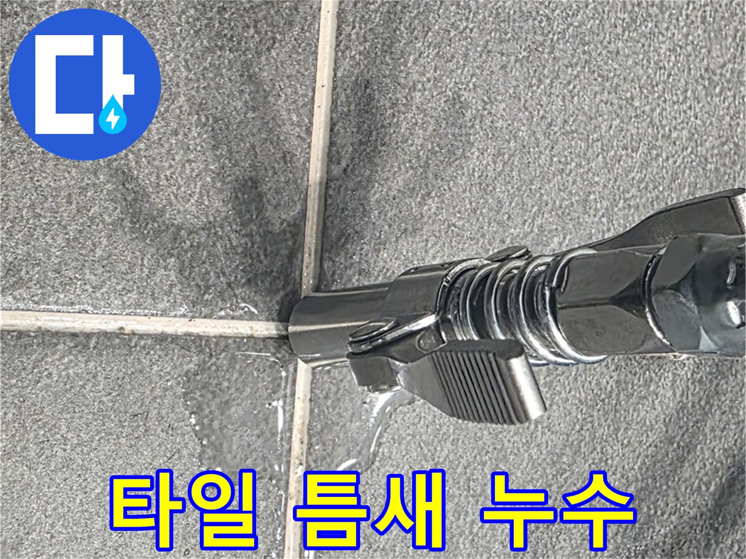 타일 틈새 누수 - 작은 틈새도 놓치지 않고 꼼꼼하게 점검합니다.