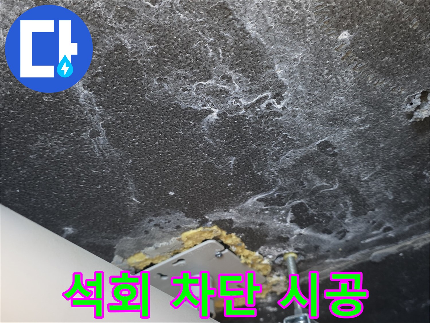 파주 누수 시공 - 천장 석회 재발 완벽 차단 전문 시공 중