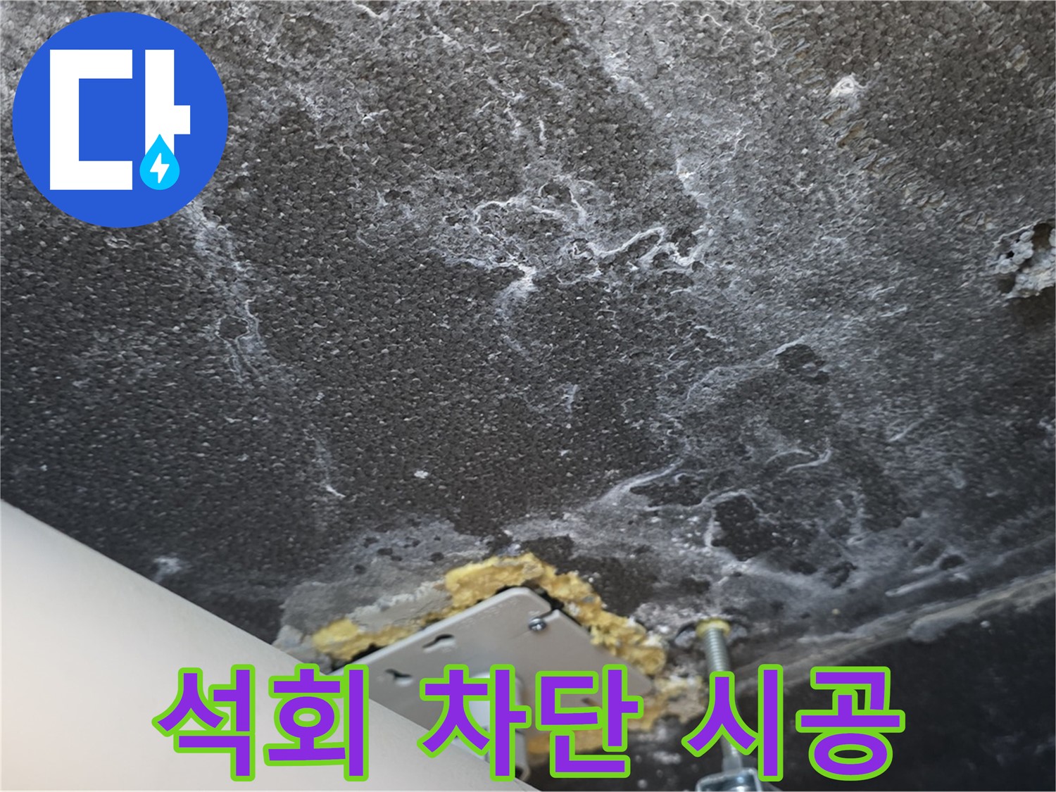 파주 누수 전문 - 천장 석회 재발 완벽 차단 전문 시공 과정