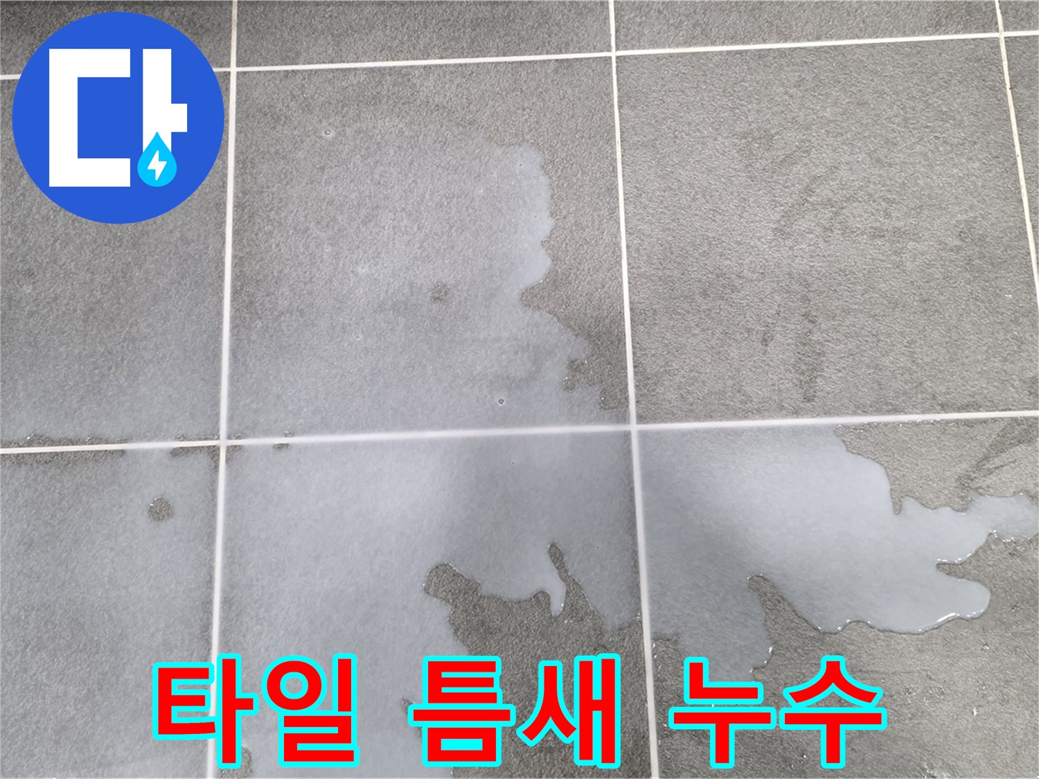 파주 동패동 운정어반프라임 1201동 아파트 - 욕실 타일 틈새 누수 초기 발견