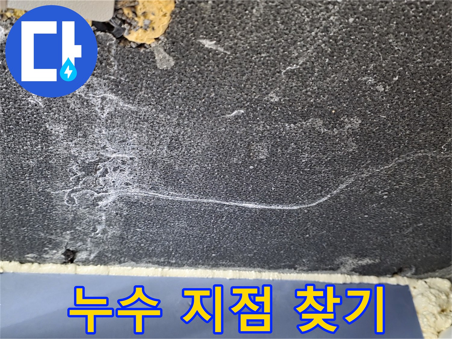 파주 동패동 천장 누수 - 정확한 누수 지점 찾기